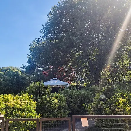 Vakantiehuis Beautiful In Acquasparta -tr- *