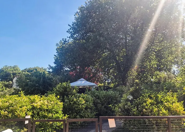 別荘 Beautiful In Acquasparta -tr- *